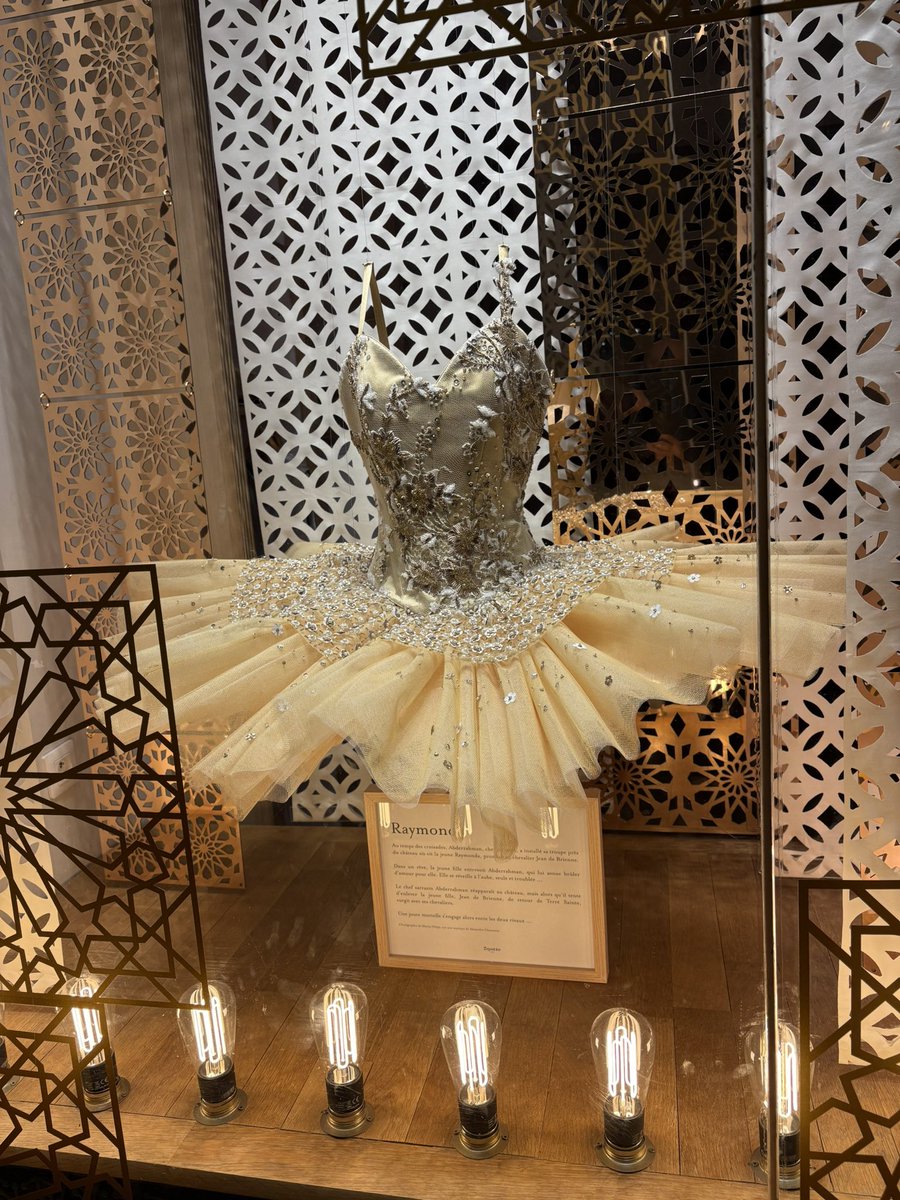 À Paris dans le Marais, je fais souvent un détour à pied juste pour voir, pour admirer « ça »… La beauté sublime des tutus Repetto…. Du grand art, au service du très grand art 👏🤩 <a href="/SylvieGuerinSG/">Sylvie Guérin</a>