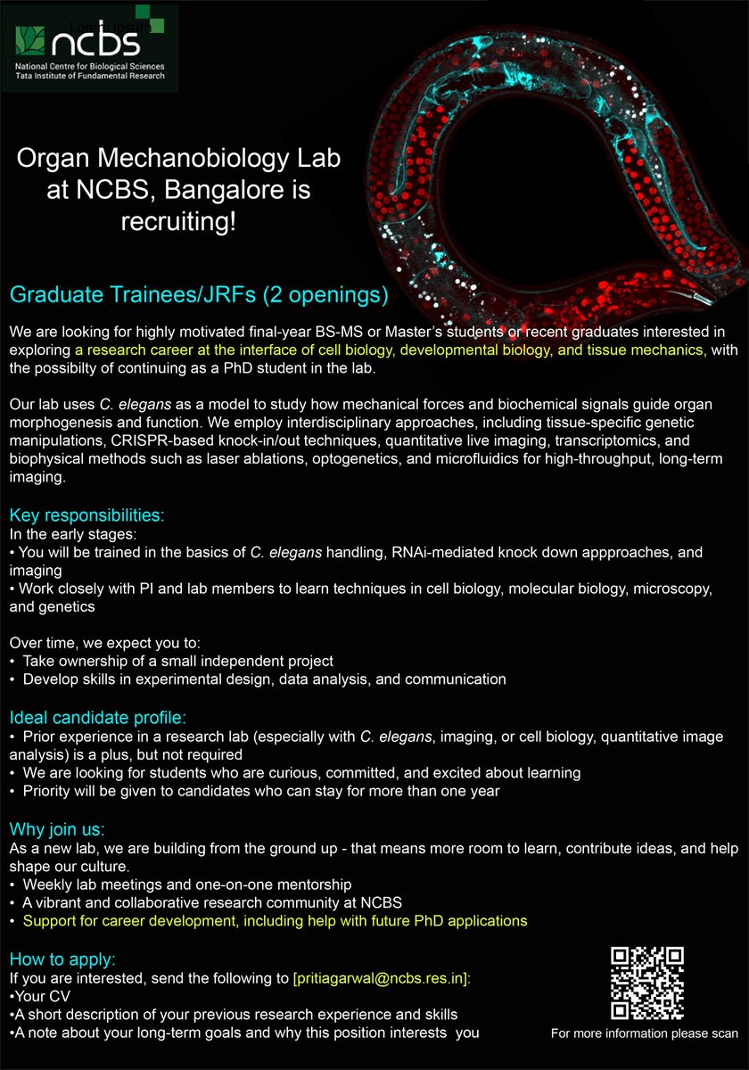 Priti Agarwal (@pritiag007) on Twitter photo Ever wondered how organs take shape? Join us to find out! The Organ Mechanobiology Lab <a href="/NCBS_Bangalore/">National Centre for Biological Sciences</a> is recruiting Graduate Trainees. Perfect for final-year students curious about tissue mechanics, development & cell biology. Check out the ad below 👇 Please RT! Thanks 🙏 Ever wondered how organs take shape? Join us to find out! The Organ Mechanobiology Lab <a href="/NCBS_Bangalore/">National Centre for Biological Sciences</a> is recruiting Graduate Trainees. Perfect for final-year students curious about tissue mechanics, development & cell biology. Check out the ad below 👇 Please RT! Thanks 🙏