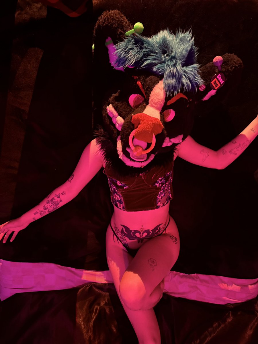 Corb but 𝓯𝓻𝓮𝓪𝓴𝔂🔜 FWA tweet media