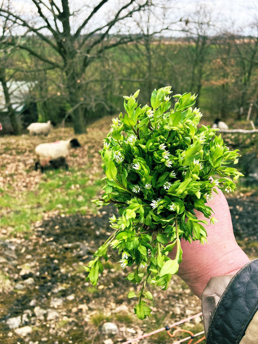 Judith Random 🫧 tweet media