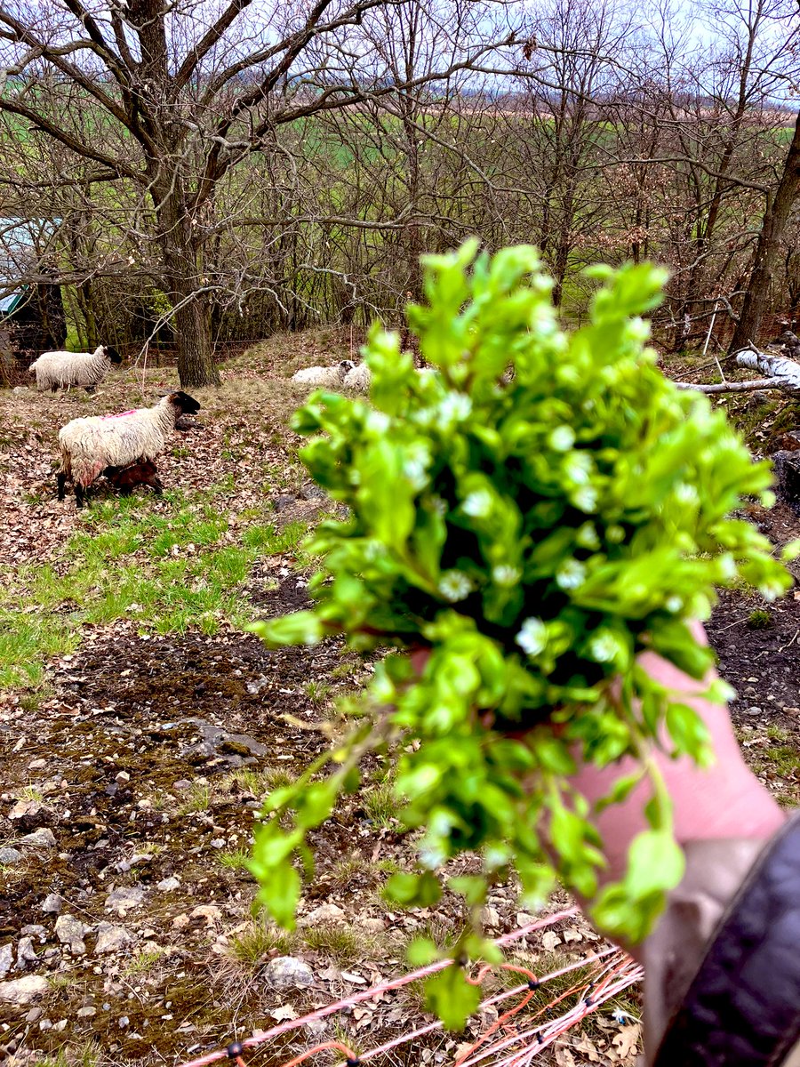 Judith Random 🫧 tweet media