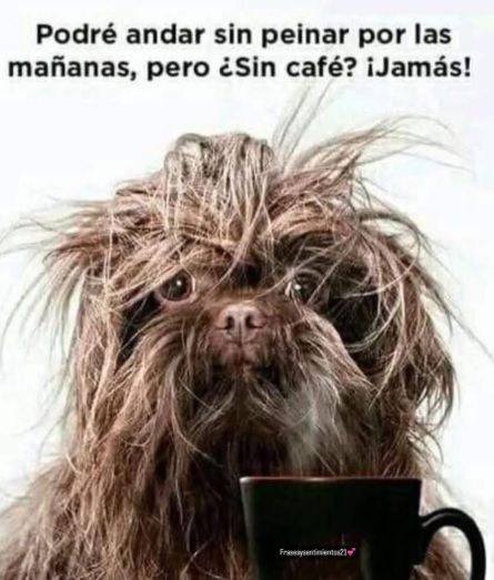 ✨Lucy Sky✨ tweet media