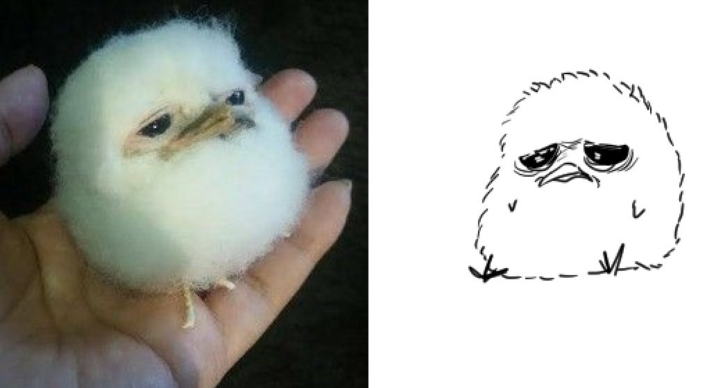 pluckine's tweet photo. This sad thing I found on Pinterest, I gottta draw it https://t.co/KQuZuU3nuD