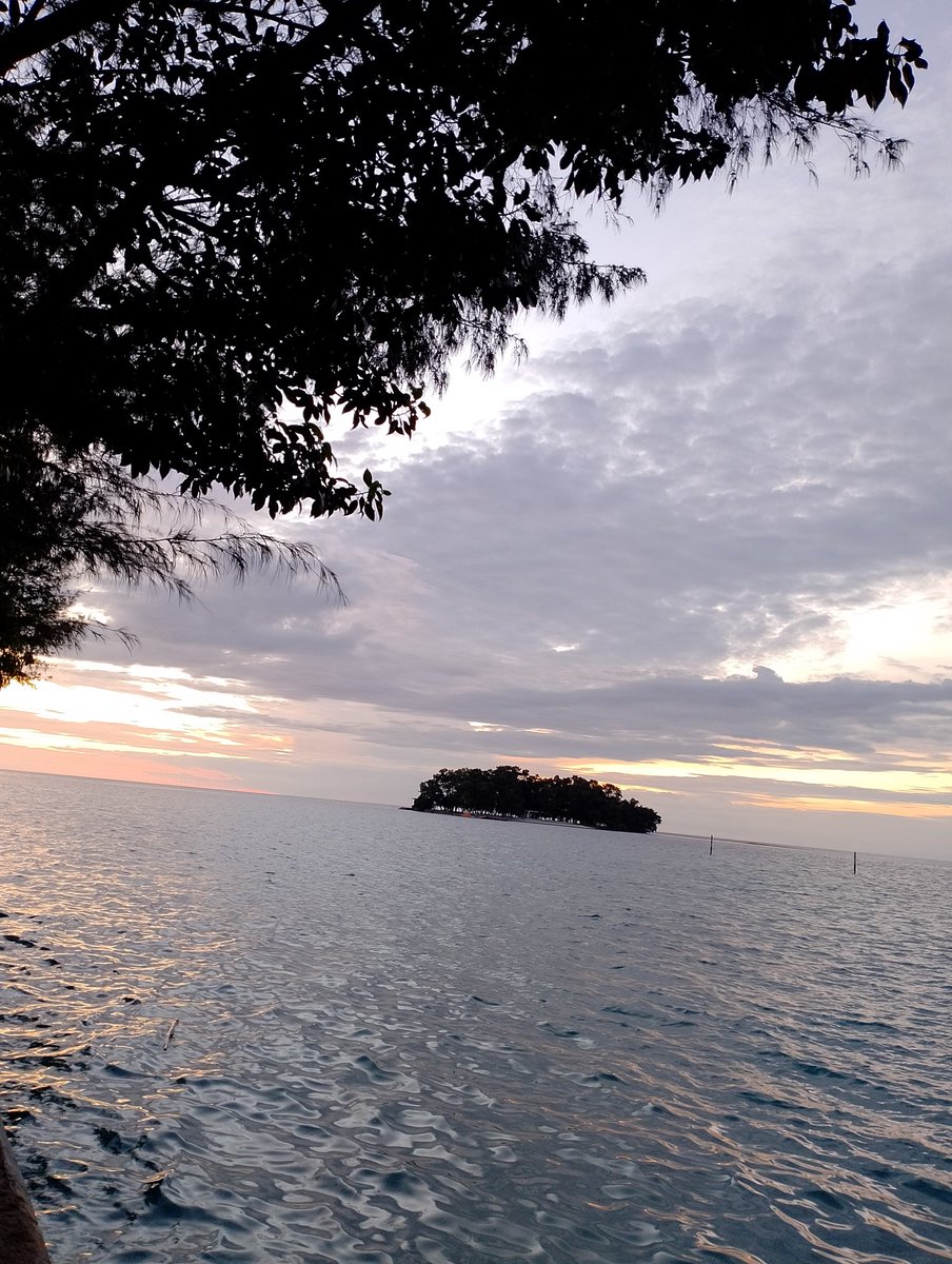 AzadulZ's tweet image. 