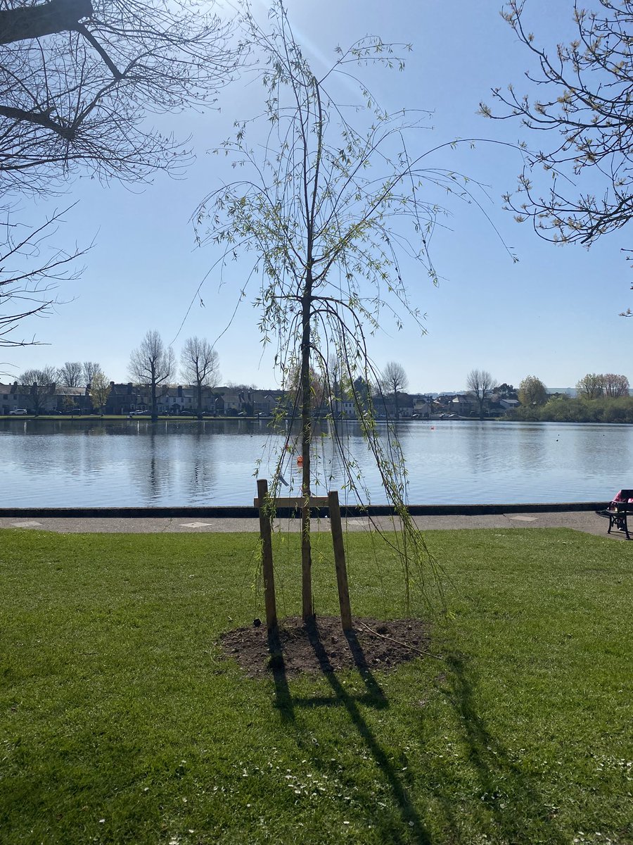 🌳Tree Planting 🌳

A selection of the new #trees planted at The Lough over the last few days by our crews.

<a href="/yaycork/">Yay Cork</a> <a href="/corkbeo/">Cork Beo</a> <a href="/CorkSafetyAlert/">Cork Safety Alerts</a>
