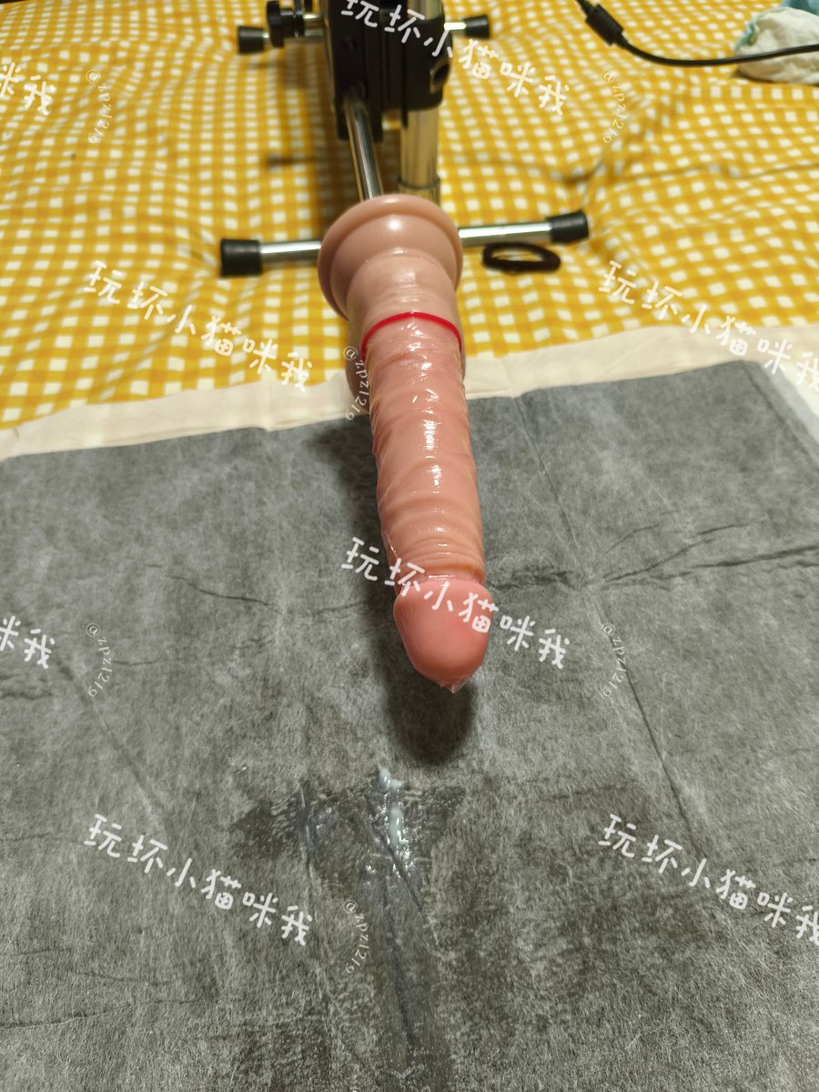 福利姬玩坏小猫咪我分享的黄推图片3 - 网红私拍内容