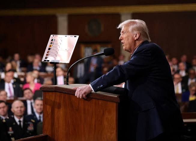 fankotech.dmt tweet media