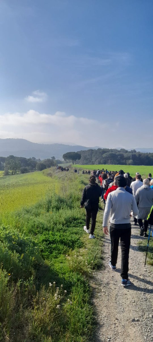 🏃 Els centres penitenciaris de Catalunya celebren el #DiaMundialDeLActivitatFísica!

🔴 5 centres han organitzat 4 marxes nòrdiques simultànies amb la participació de prop de 150 persones internes.

🩺 També s'han impulsat campanyes de prevenció i millora de la salut.