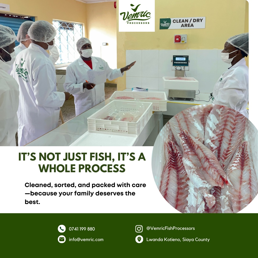 Vemricfishproc's tweet photo. It’s not just fish—it’s a whole process!”Step inside Vemric Fish Processors and see how we clean, sort, package, and preserve freshness with precision. Because what you feed your family matters.#InsideVemric #FishProcessingDoneRight #SafeAndDelicious https://t.co/zWHNwSA0Jp