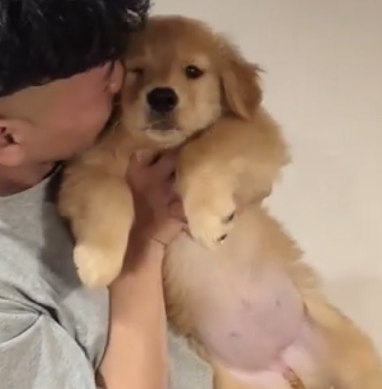 takemybear 🐶 tweet media