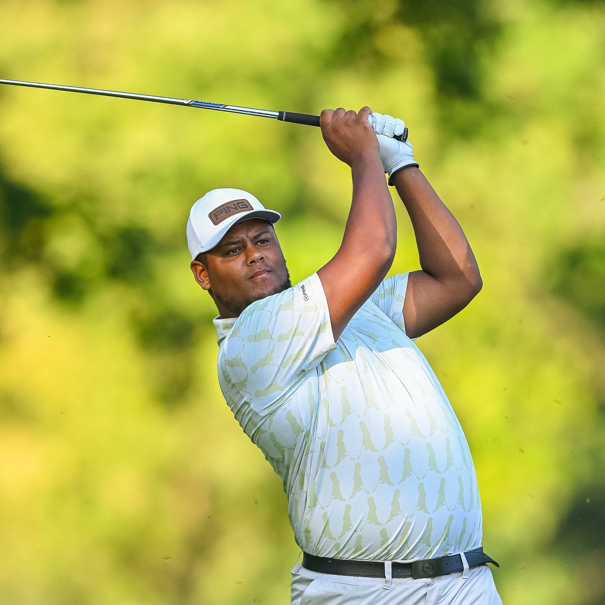 🚨 Albatross 🚨

Aydan Verdonk from 217 yards with a 7 iron on the par five 18th at Al Zorah Golf &amp; Yacht Club.

#UAEChallenge | <a href="/AydanVerdonk/">AydanVerdonk</a>