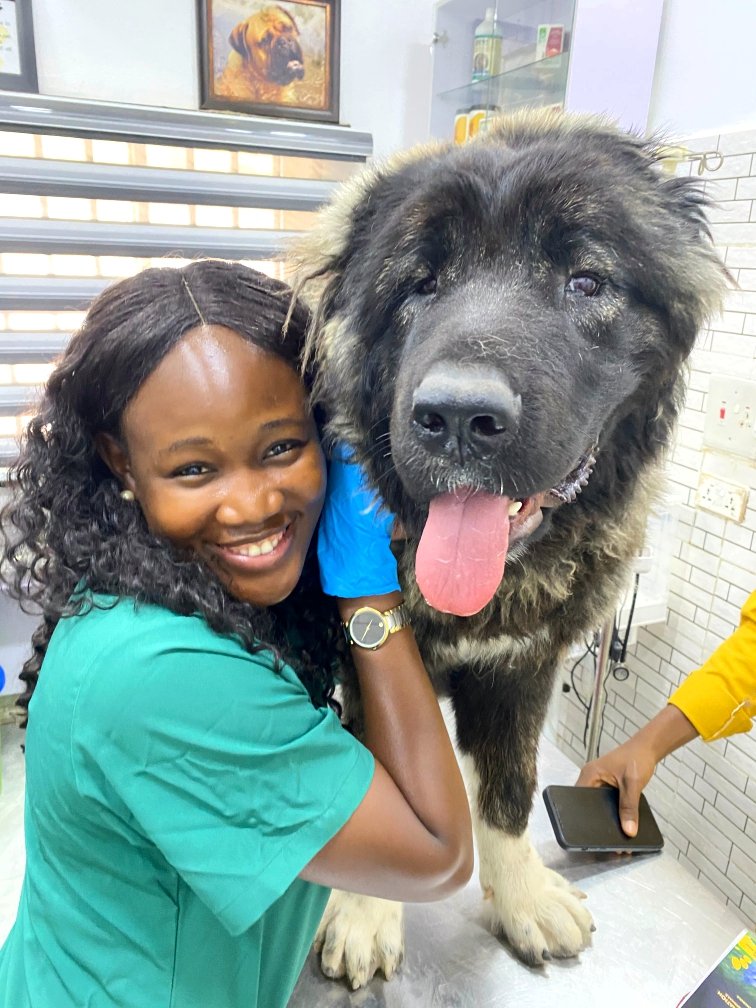 eben_ochoyo's tweet photo. No amount of googling can replace the expertise and experience of a Vet!

Your pet's well-being deserves more than just a quick online search. The expertise and experience of a veterinarian are invaluable.

Consult a Vet today‼️

PS: Beautiful Dr. Fortune 🌚 https://t.co/s8NlSnvNNx