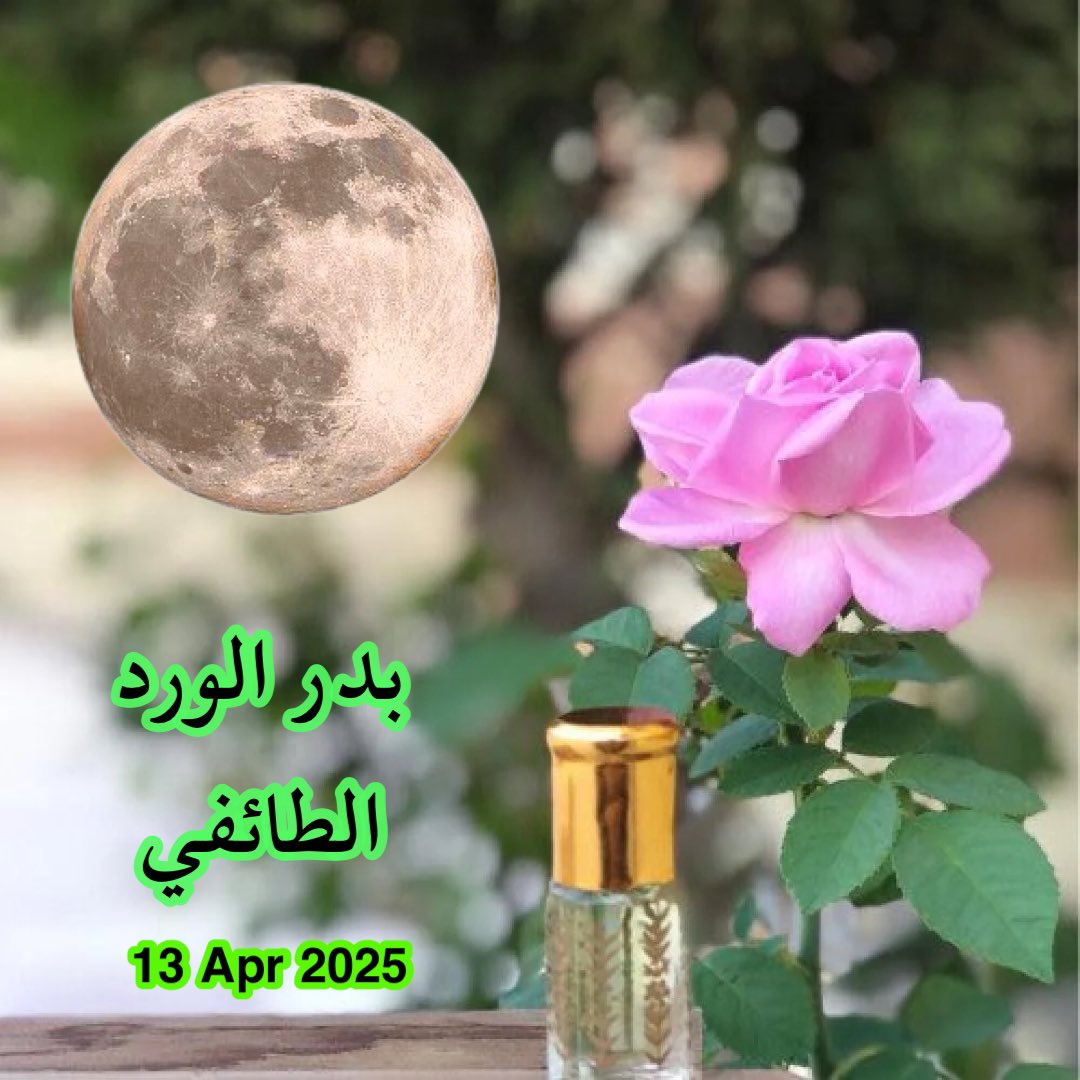hsss_sa's tweet photo. #بدر_الورد_الطائفي يطل عليكم مع بداية الأسبوع القادم، والذي يتوافق مع جني #الورد_الطائفي العالمي .

الليالي البدرية من 12 الى 14 ابريل 2025 .

يمكنكم قضاء الليالي البدرية في احضان مزارع الورد في محافظة #الطائف .

والاستمتاع بلحظات لا تنسى . https://t.co/glQgi372qA
