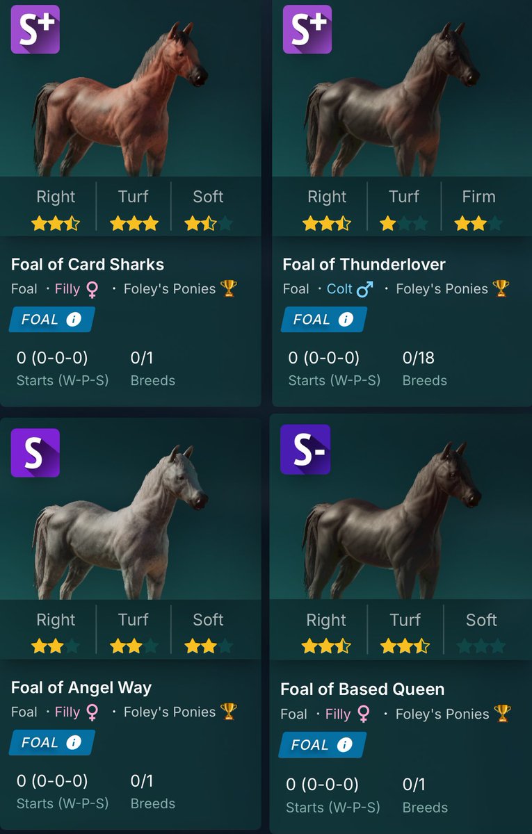 FoleysPoniesPFL's tweet image. The future looks bright 😎 Celebrating foals day S27 with our first in-house S+ ponies 🏇🏇🏆#horsebusiness #feelsgood