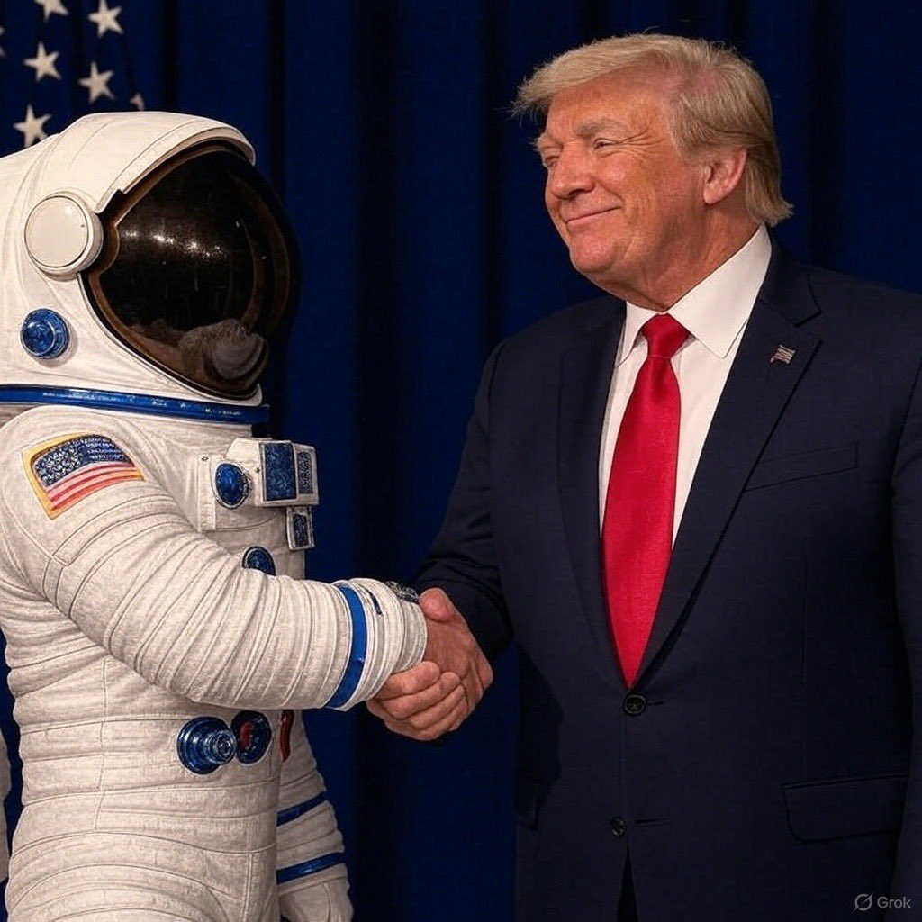 $FFTB - Fortune Favours The Brave tweet media