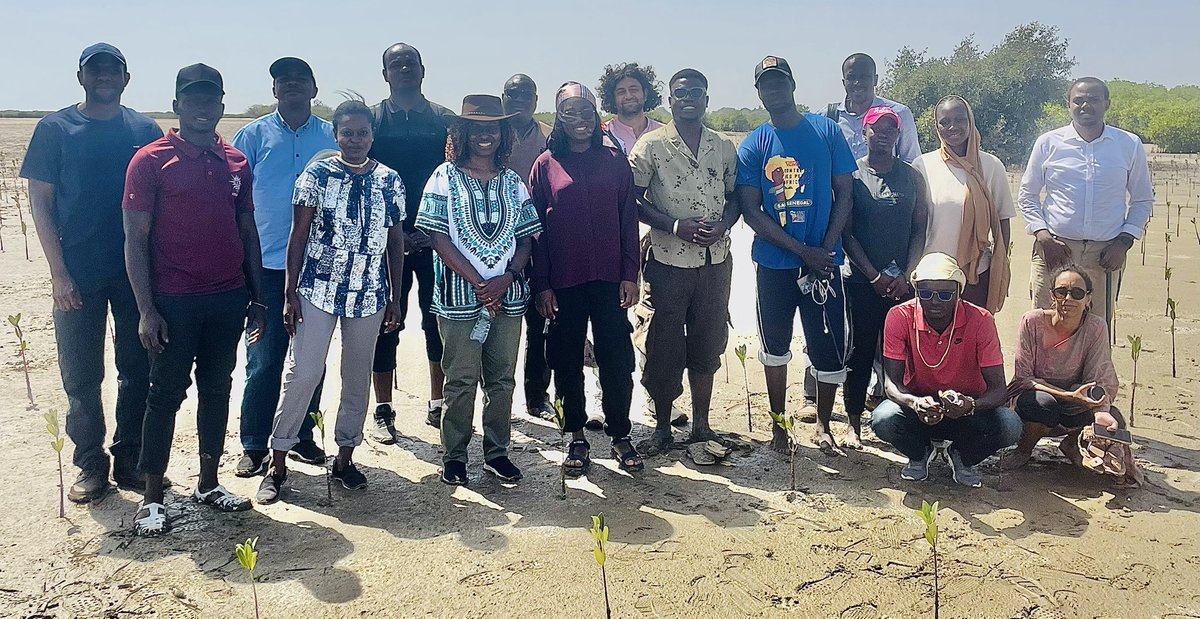 🇸🇳Ambassadeur🌳de l’environnement🌳 tweet media