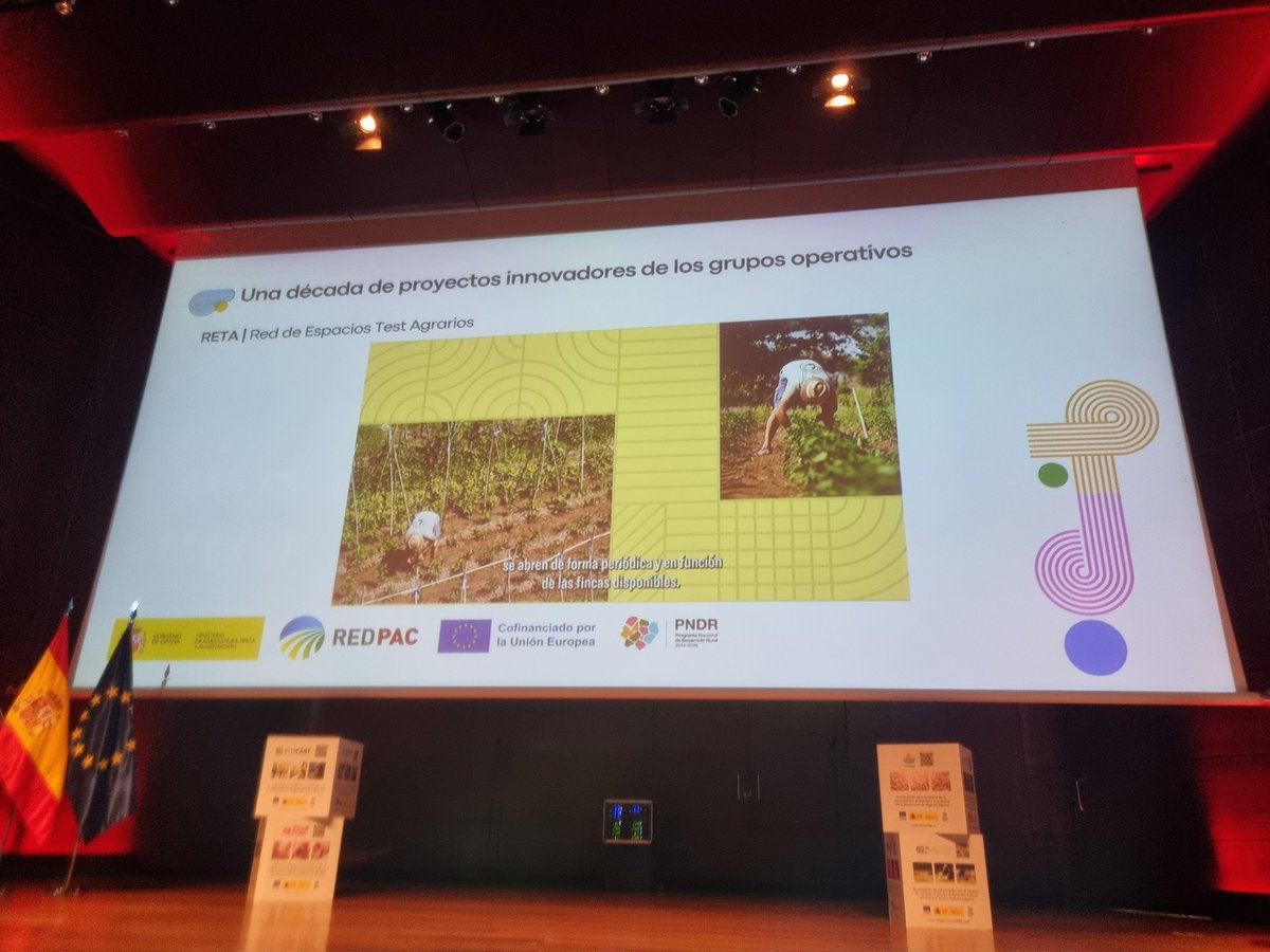 Maite Ambrós tweet media