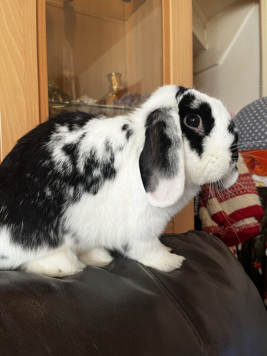 ⋆。‧˚ʚ eleanor ɞ˚‧。⋆ tweet media