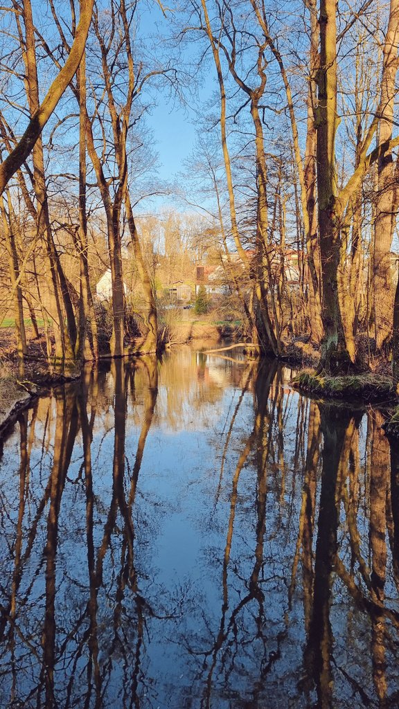 Who else loves mirrored photos? 😍
Share yours!