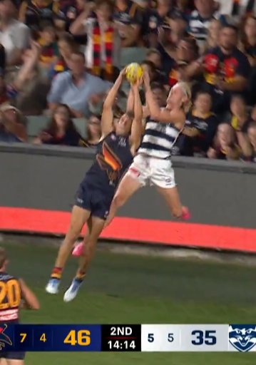 daddyinshoes's tweet image. Yeah really looks like a cats mark 🤡
#AFLCrowsCats #Rightinfrontofme