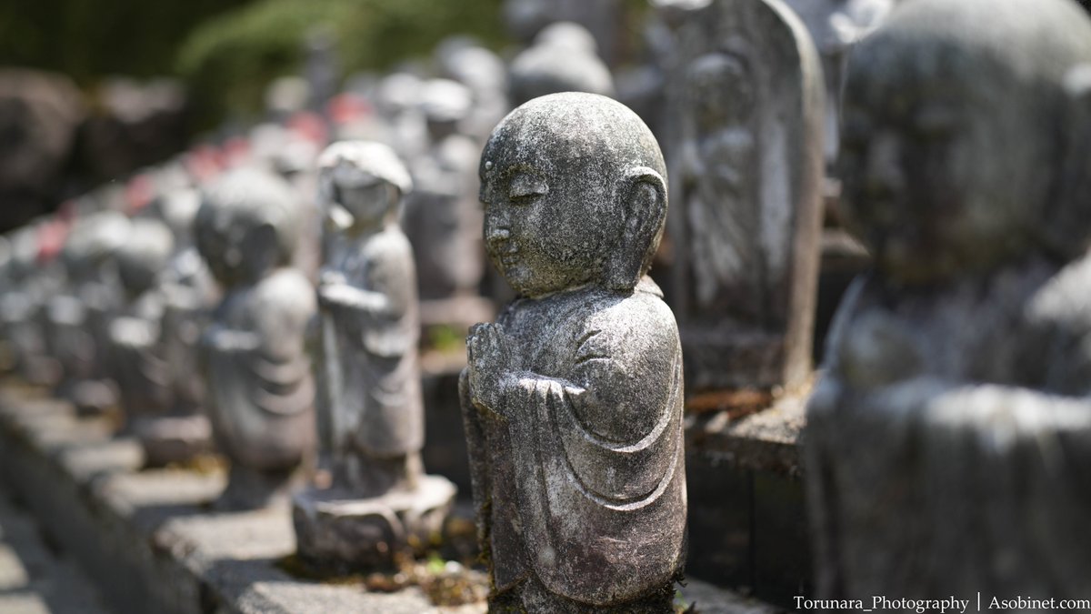 とるなら tweet media