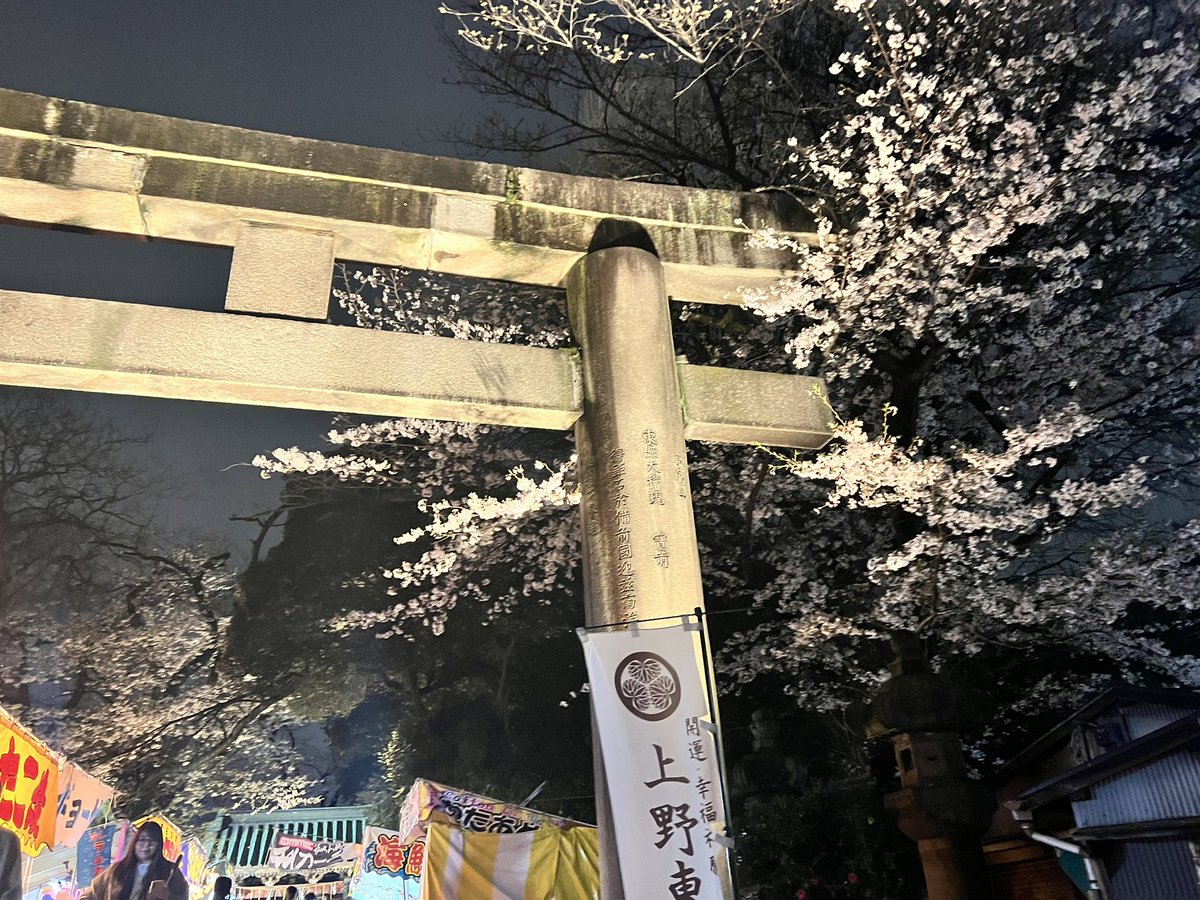 _BZRs's tweet photo. 先週上野で桜見てきた🌸🫧💗 https://t.co/wYG1qri20O