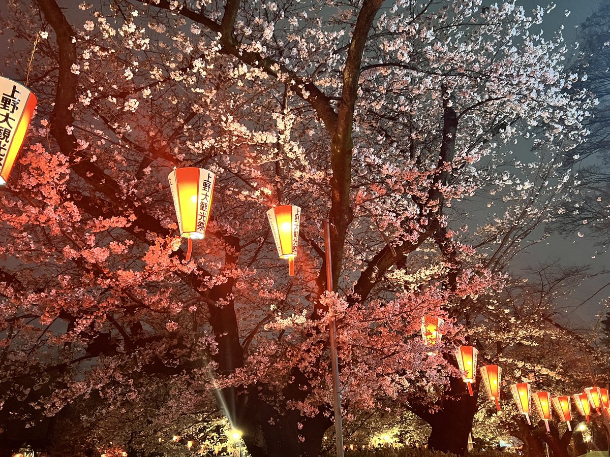 _BZRs's tweet photo. 先週上野で桜見てきた🌸🫧💗 https://t.co/wYG1qri20O