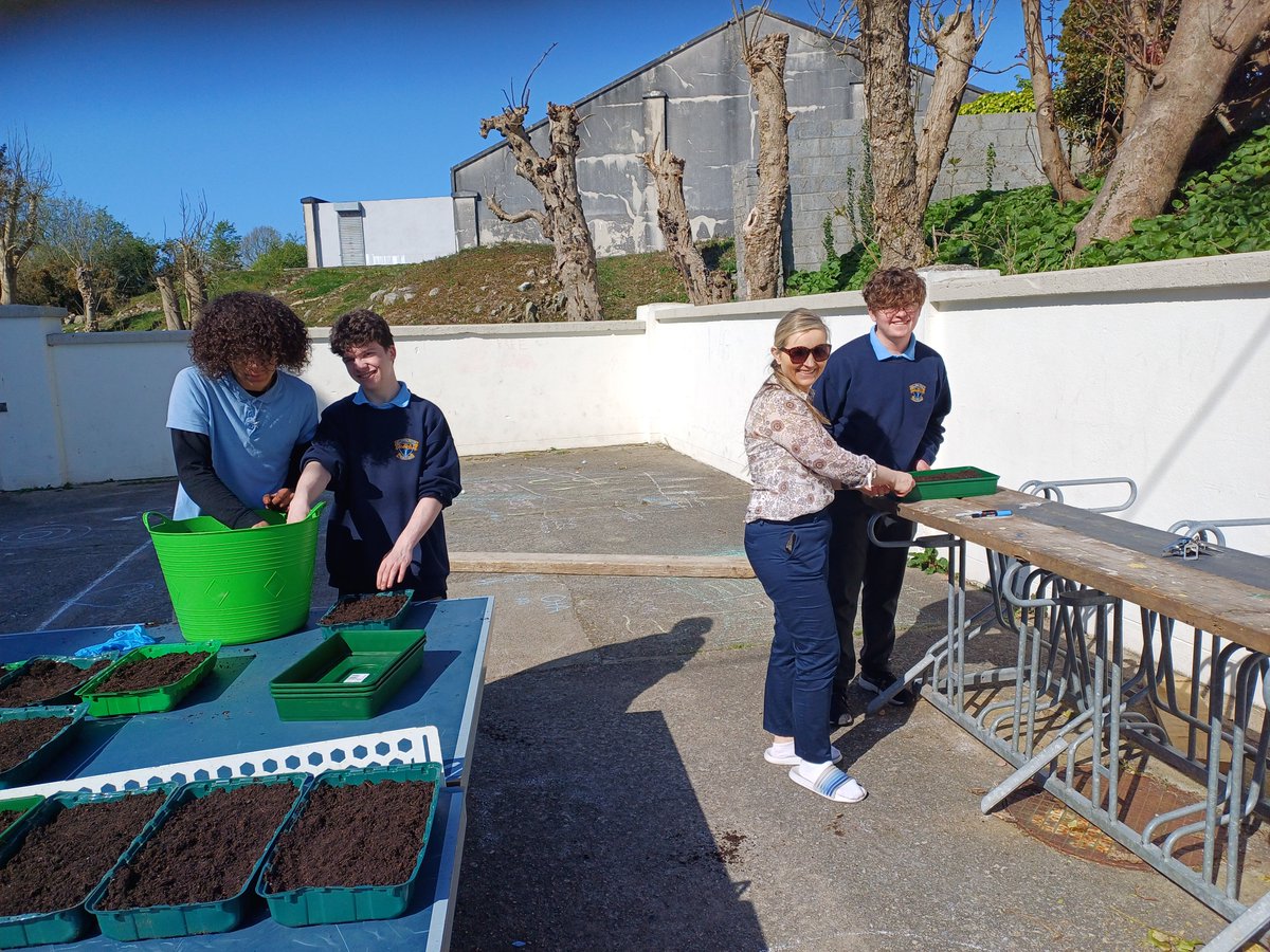 Our wonderful SNA, Kristina, and our TY Eco-diversity students planted pollinator friendly flowers. Thanks to Mr Conway for organising!