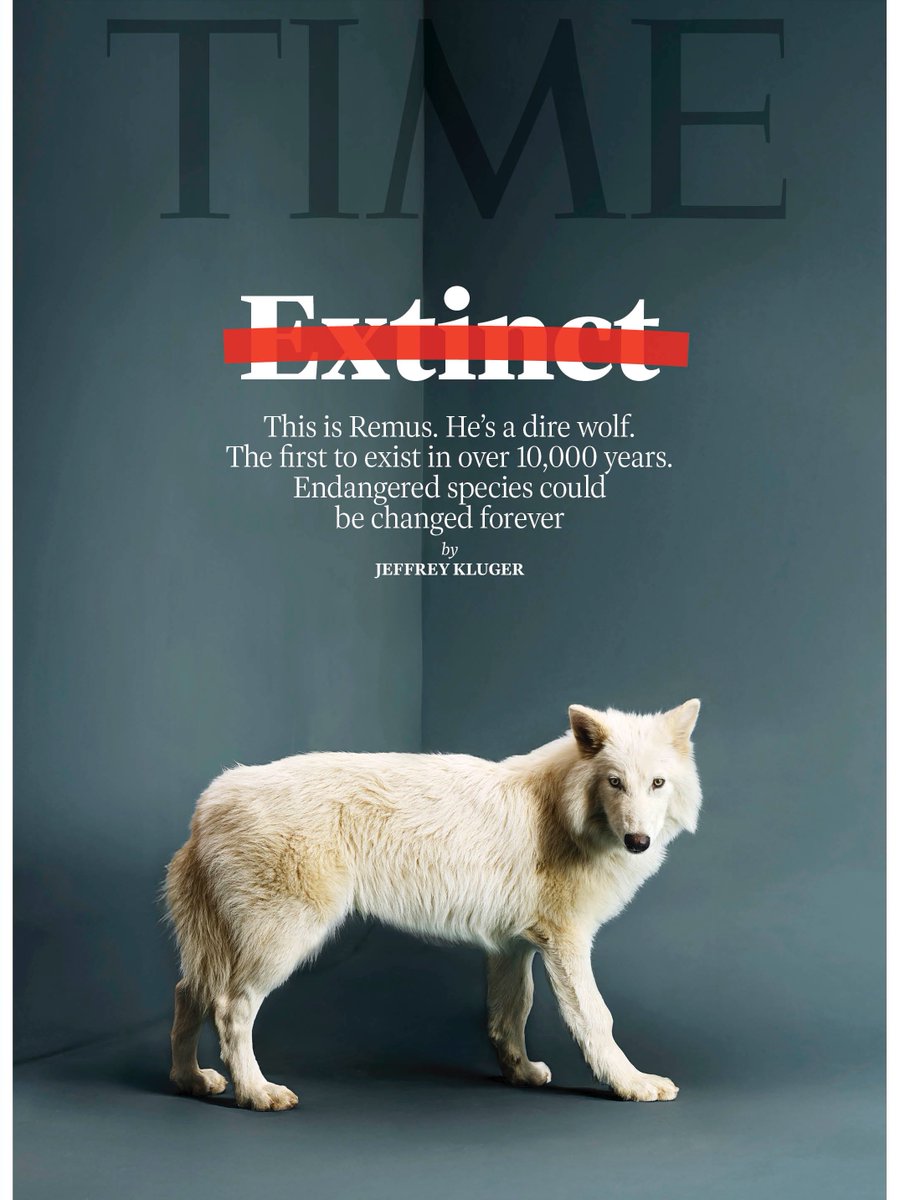 Return of extinct dire wolf!🐺🧬[ Give RDT ]