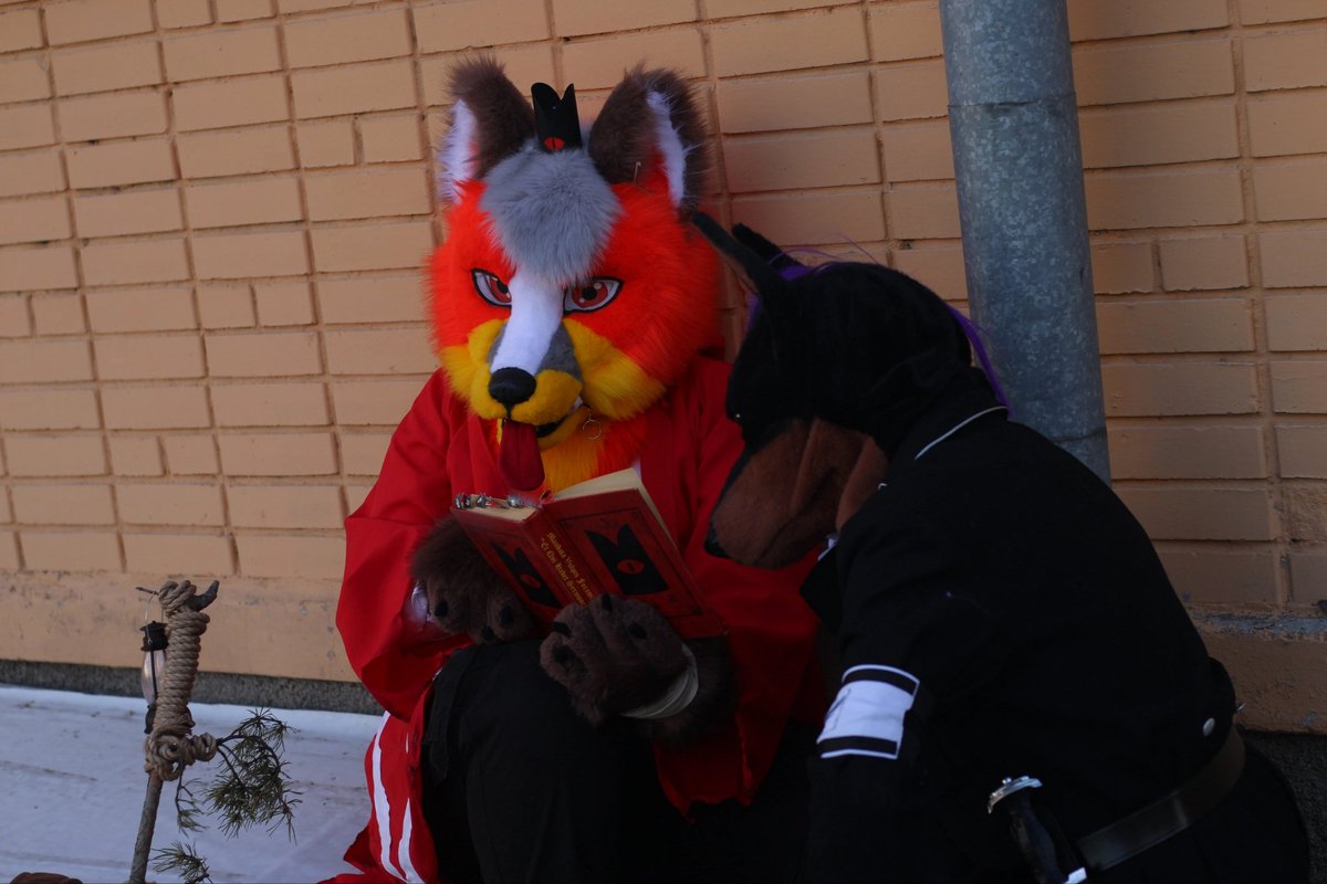 More photos from the festival, photographed by my favourite cat femboy🐾😻
#FursuitEveryday #fursuit #furry