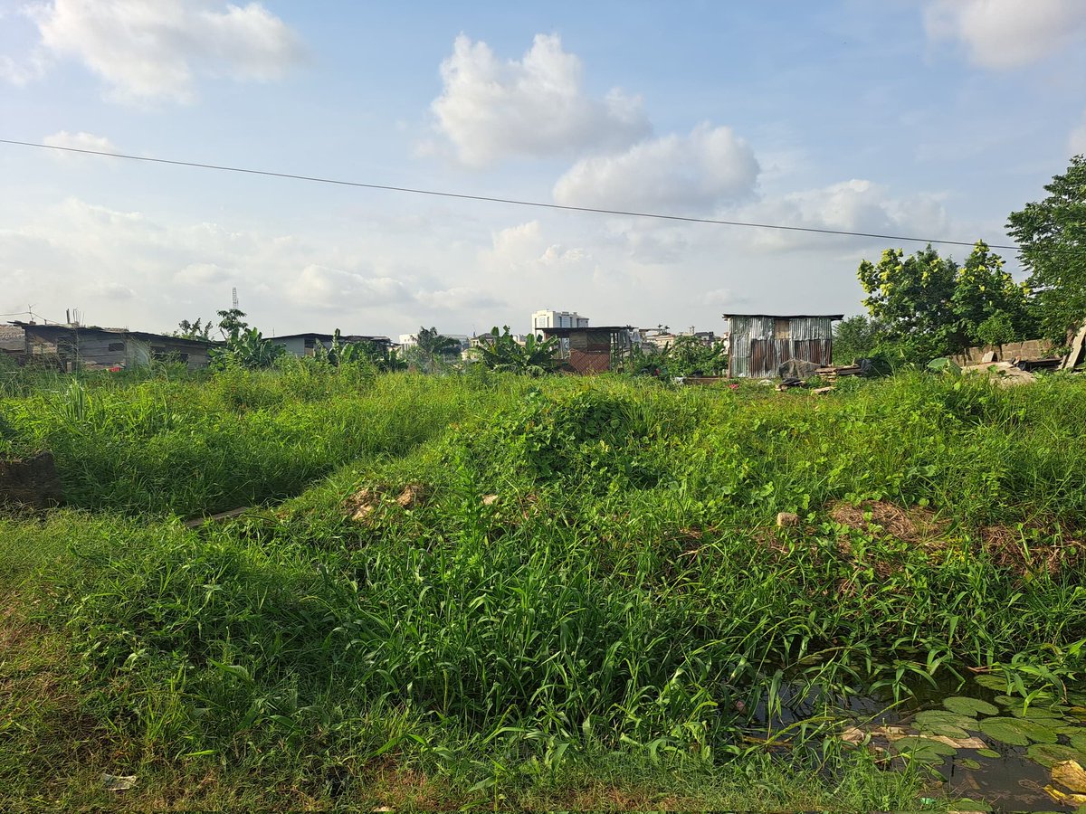 wellprodevelop1's tweet image. Direct land for sale 

Bareland measuring 329sqmeters 

Location:Peace estate, Wasimi Maryland 

I already have my drawing on it. 

Registered survey

Price: N65m Asking 

Contact:
Wellpro Developers 
📞08185520099
08185570099

✉️: wellprodevelopers@gmail.com

#wellprodeveloper