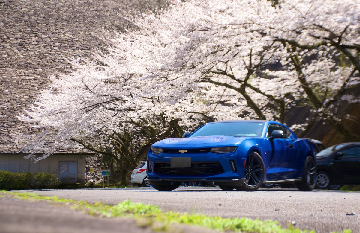 darkness9black's tweet photo. #アメ車乗りと繋がろう2025春 https://t.co/flCjUyYr7U