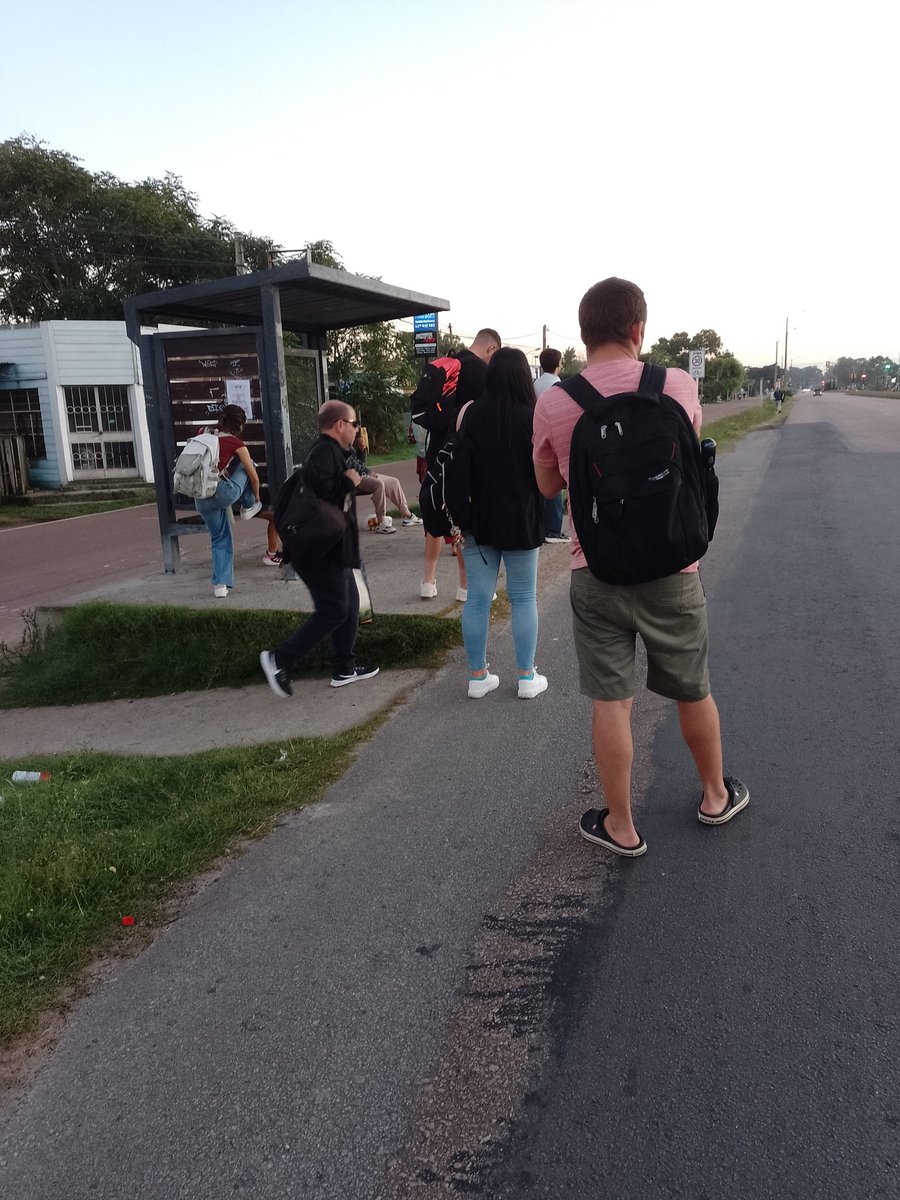 Voy a insistir hasta que alguien dé bola y haga algo. 
Todos los días en Ciudad de la Costa. 40' esperando, durante 30' no pasa un solo ómnibus y después pasan llenos y no paran, y cuando paran vas como ganado
Y no me digan que salga antes porque entro a las 8 y esto pasa 6.30