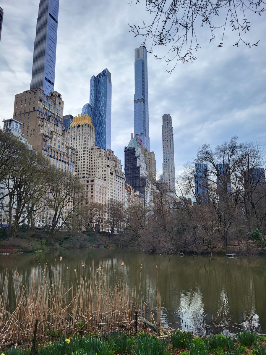 DeclanFahey2's tweet photo. Central Park, NYC https://t.co/yy4e2GcvkI