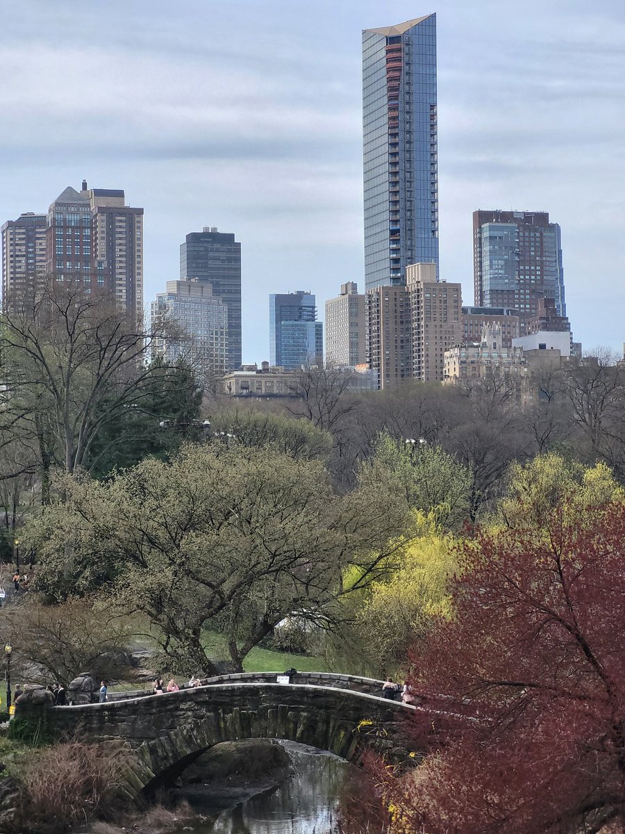 DeclanFahey2's tweet photo. Central Park, NYC https://t.co/yy4e2GcvkI