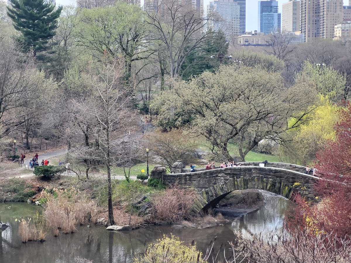 DeclanFahey2's tweet photo. Central Park, NYC https://t.co/yy4e2GcvkI