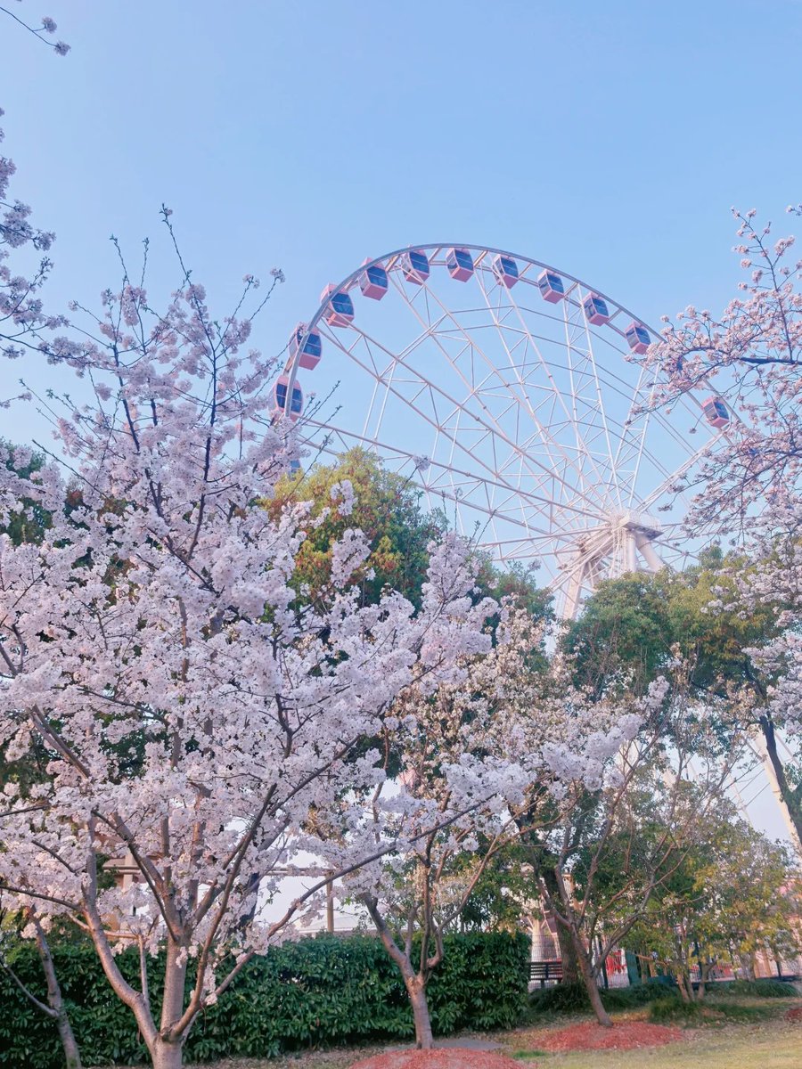 Princessduuu's tweet photo. 顾村，发发库存 https://t.co/Qzs43B8e8X