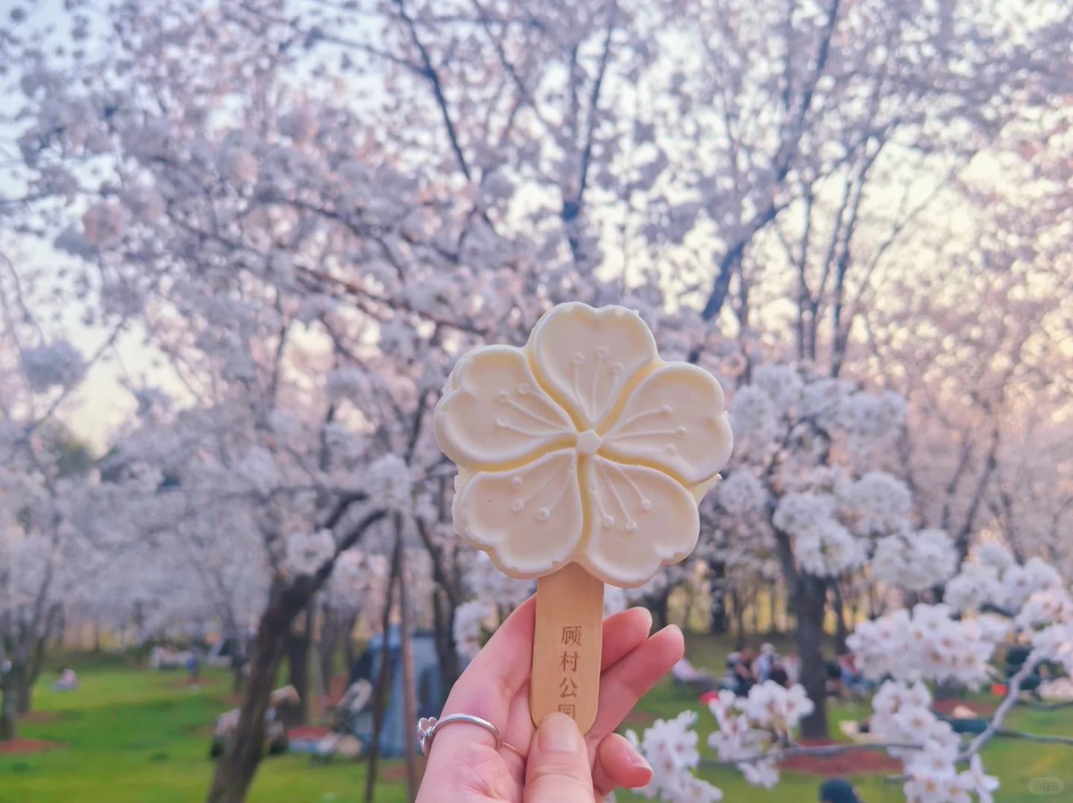 Princessduuu's tweet photo. 顾村，发发库存 https://t.co/Qzs43B8e8X