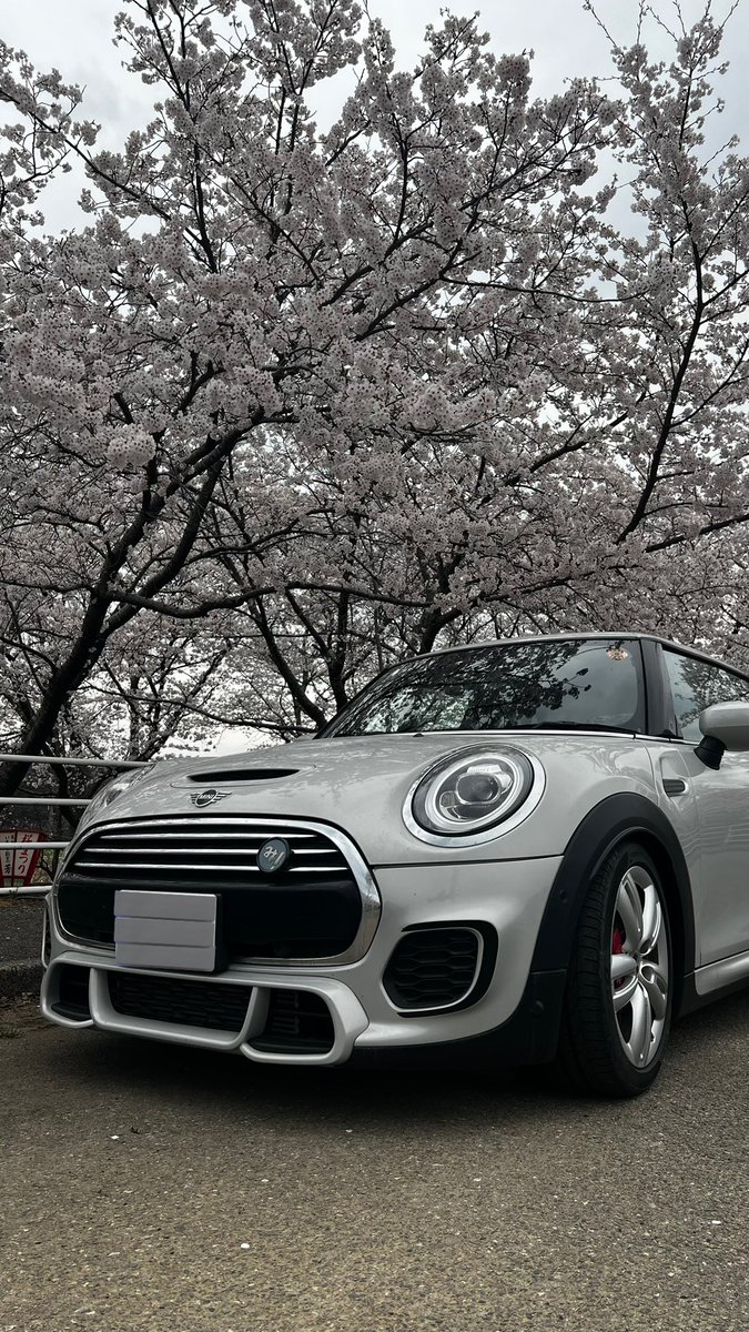 kou_159's tweet photo. MINI❌🌸
やっと行けた〜☺️👌🌸
後はバイク❌🌸
・・・だな😑

#桜
#f56  #f56jcw #jcw #f56mini #f55 #f60 #f54 #f57 #mini #minicooper https://t.co/MBS0WDS3TU