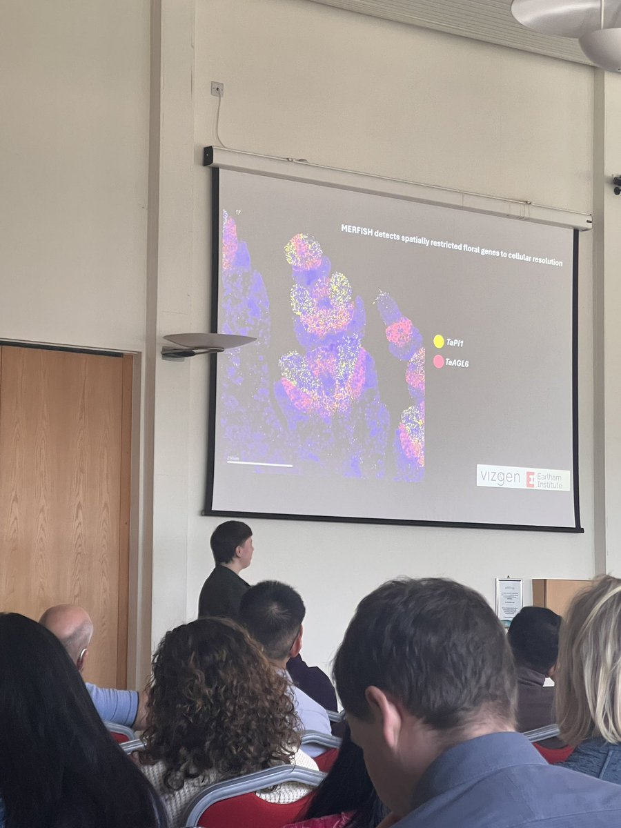 Surbhi Grewal (@surbhig6) on Twitter photo Amazing spellbinding spatial transcriptomics imaging by <a href="/KatieA_Long/">Katie Long</a> from <a href="/JohnInnesCentre/">John Innes Centre</a> <a href="/CristobalUauy/">Cristobal Uauy</a> lab supported by <a href="/EarlhamInst/">Earlham Institute</a>
Katie is the <a href="/MonogramUK/">Monogram Network</a> PhD early career excellence award MECEA winner
#Monogram25 Amazing spellbinding spatial transcriptomics imaging by <a href="/KatieA_Long/">Katie Long</a> from <a href="/JohnInnesCentre/">John Innes Centre</a> <a href="/CristobalUauy/">Cristobal Uauy</a> lab supported by <a href="/EarlhamInst/">Earlham Institute</a>
Katie is the <a href="/MonogramUK/">Monogram Network</a> PhD early career excellence award MECEA winner
#Monogram25