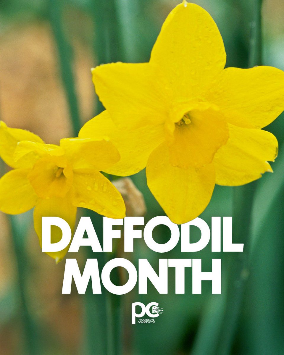 PC Party of NL (@pcpartynl) on Twitter photo April is Daffodil Month — a time to let hope bloom for those facing cancer.🌼
If you’d like to support the <a href="/cancersociety/">Canadian Cancer Society</a> this month, you can make a donation at: cancer.ca/Daffodil
Let’s stand together, spread awareness, and show that no one faces cancer alone. April is Daffodil Month — a time to let hope bloom for those facing cancer.🌼
If you’d like to support the <a href="/cancersociety/">Canadian Cancer Society</a> this month, you can make a donation at: cancer.ca/Daffodil
Let’s stand together, spread awareness, and show that no one faces cancer alone.