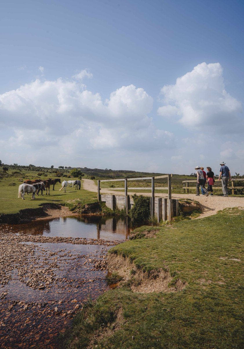 From woodland walks and seaside picnics to experiencing local attractions and trying new activities, the New Forest is made for memory-making - whatever your age.

Plan your next adventure: bit.ly/3O886UI