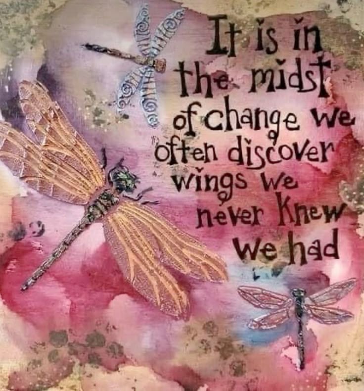 PositivitySaid's tweet photo. https://t.co/C9wasosGqu
