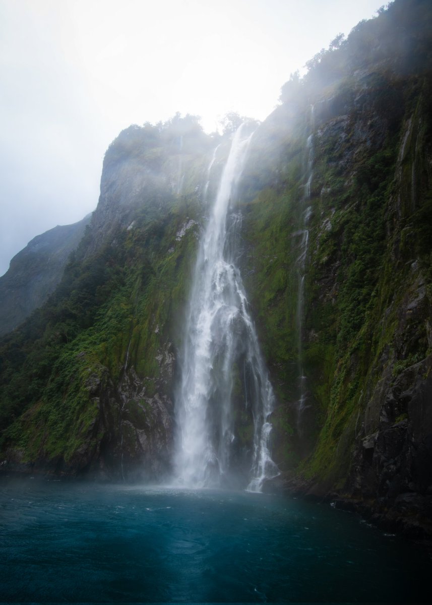 𝘢𝘯𝘵𝘩𝘰𝘯𝘺𝘮𝘨 tweet media