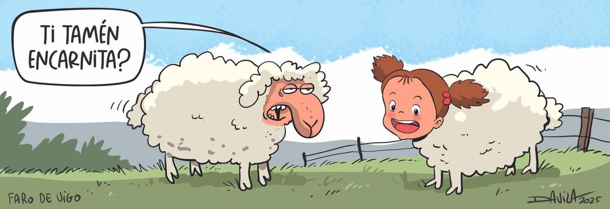 Borreguismo IA #humorgalego #davila #obichero