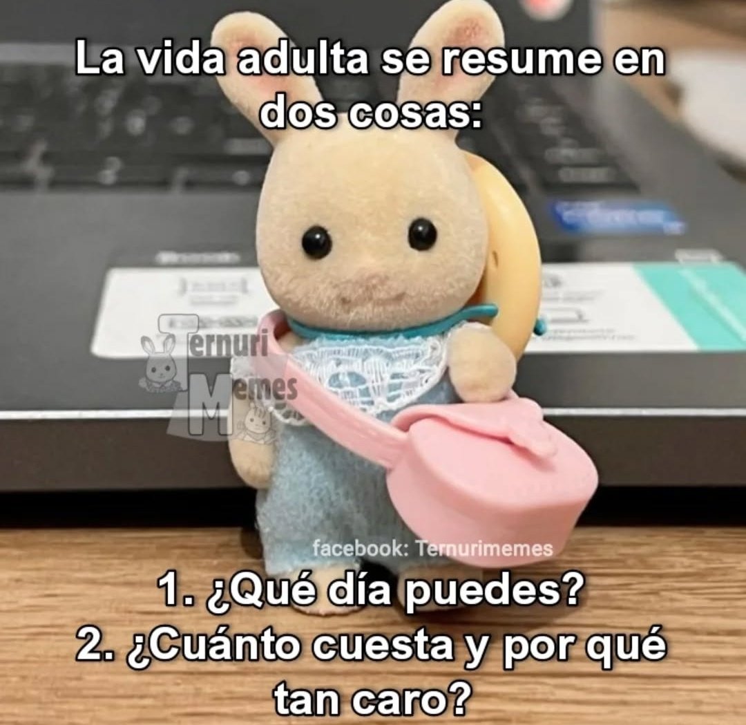 animalitos gorditos tweet media