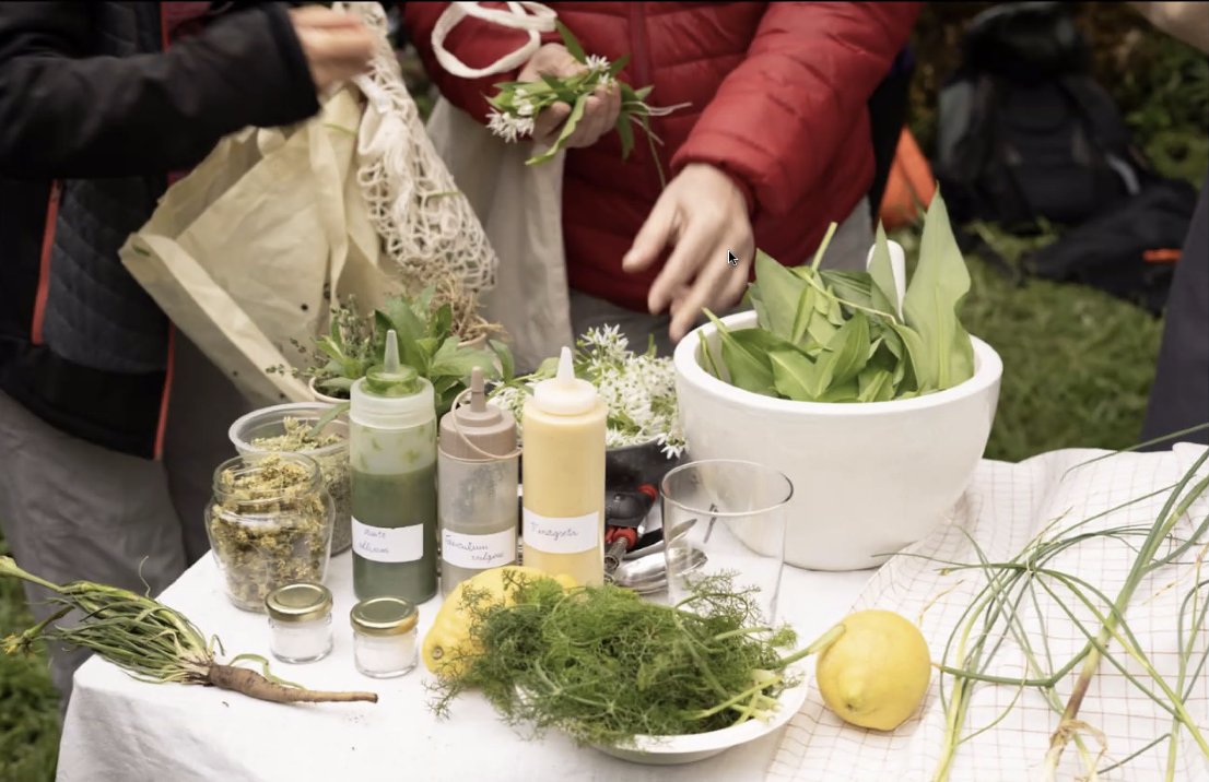 AgroecoMcpios's tweet photo. @laplasita_ @fdnc_es @antoninoycinia @InfoLeon_com 🔥🌿 Sara García y Ana Andrés, (@antoninoycinia), nos han compartido experiencias sensibles y profundas, ilustradas con imágenes bellísimas que conectan arte, territorio y comunidad. ¡Gracias! 

#Comensales: En la mano, fuego, en el bosque, esporas, en la boca, saber. https://t.co/eVBaifY5MF