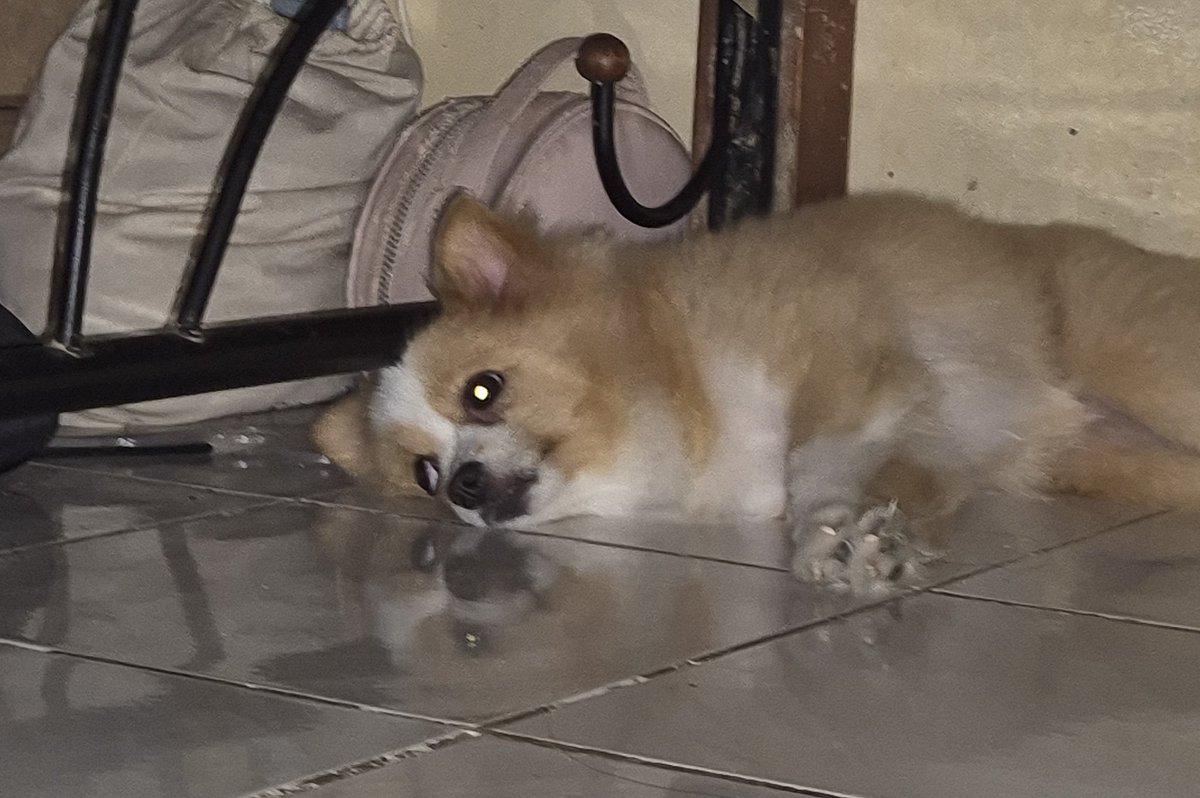 yung pati anak mo give up na sa buhay