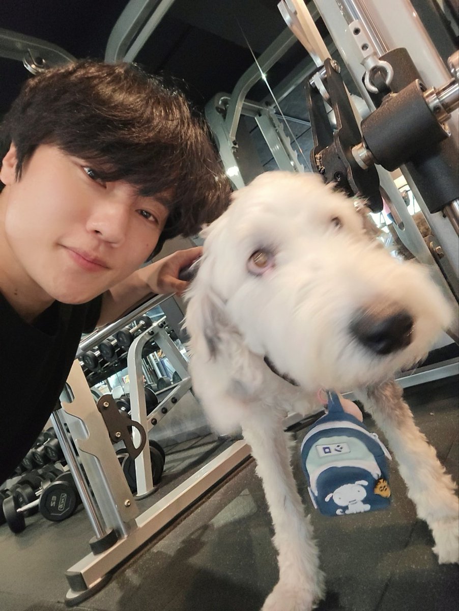 kkinte_'s tweet photo. 친구네 애기 은성이 우리집 애기 밍키 헬스장 애기 우루사 사실상 이건 과시죠... 진짜 개부러운 인생이다 진짜... ... https://t.co/mE6Zbe0d5M