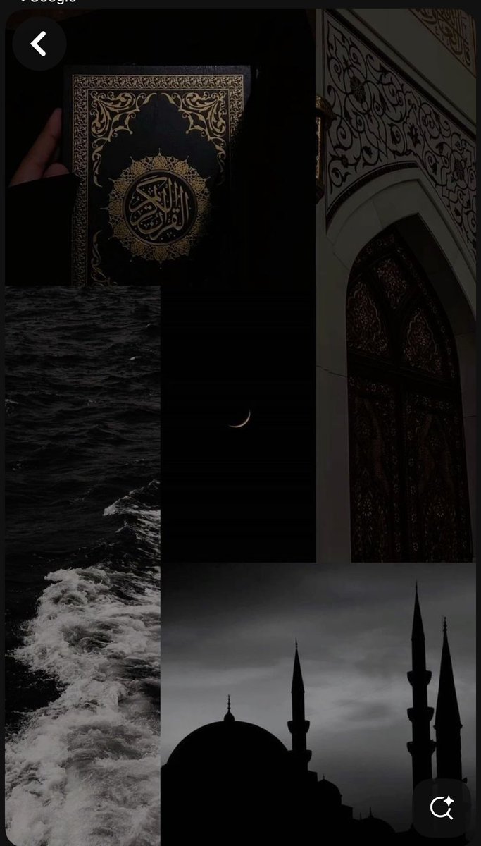 The Islam ☪️ 

The religion of the crescent moon, is a religion of war. These people live in the Stone Age and treat people like in the Stone Age! Has nothing to do with religion, it's just a fanatical fantasy of stupid men.